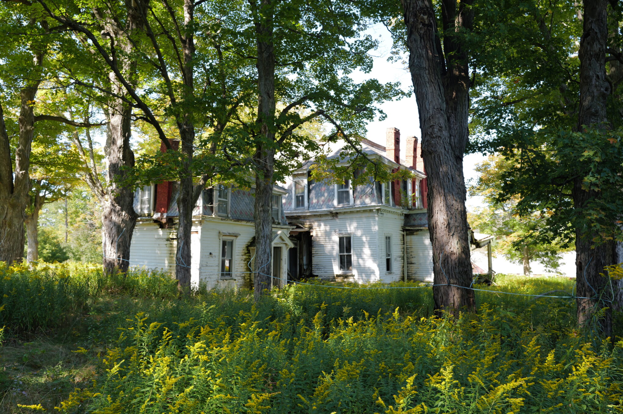 The Ned Buntline House